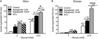 Novel GLP-1 Analog Supaglutide Stimulates Insulin Secretion in Mouse and Human Islet Beta-Cells and Improves Glucose Homeostasis in Diabetic Mice